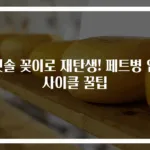 칫솔 꽂이로 재탄생! 페트병 업사이클 꿀팁