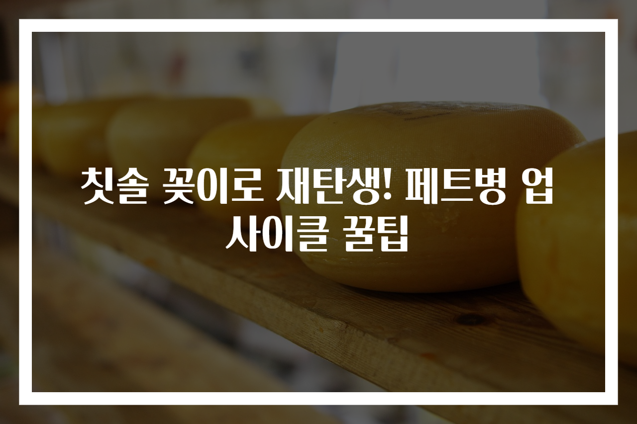 칫솔 꽂이로 재탄생! 페트병 업사이클 꿀팁