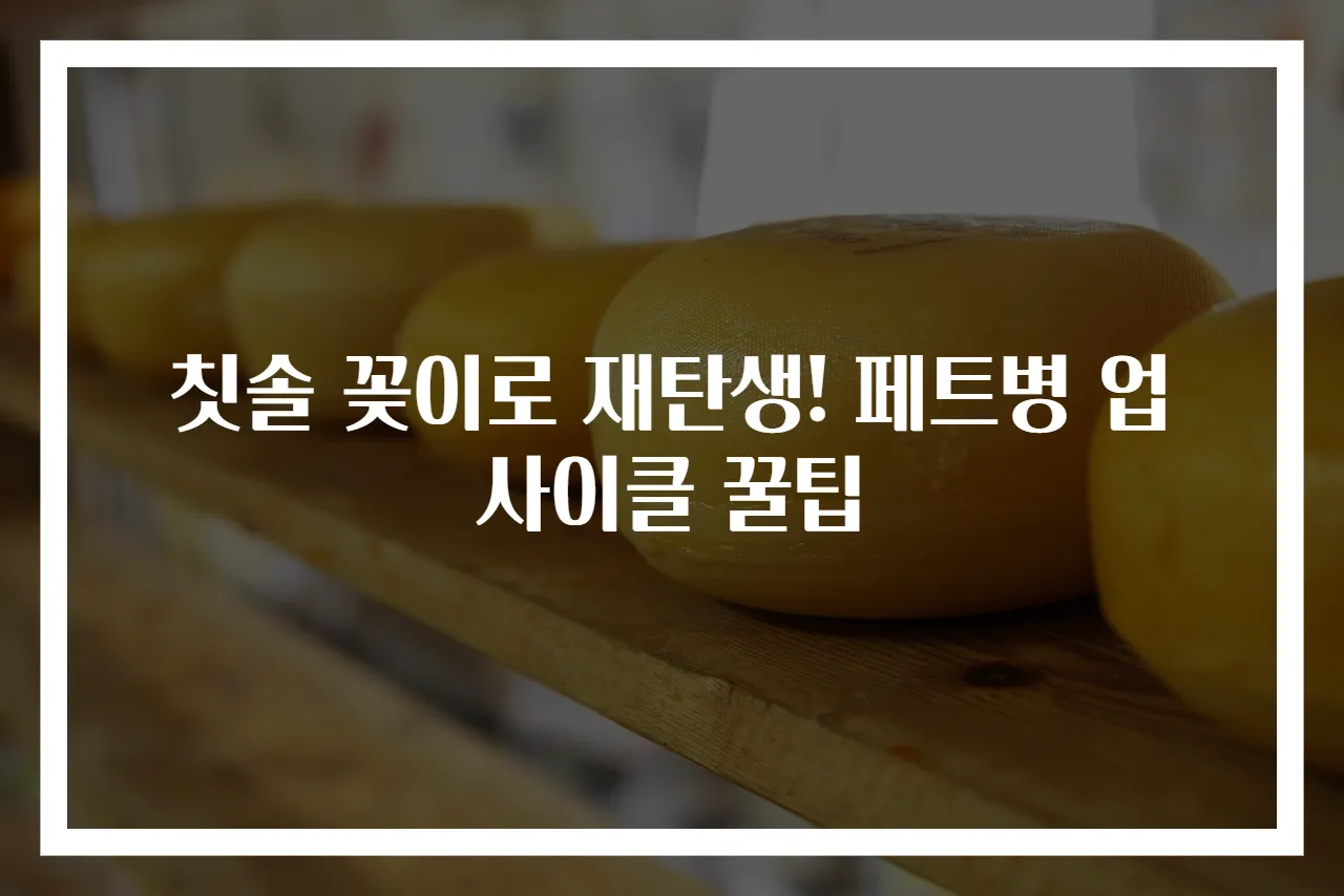 칫솔 꽂이로 재탄생! 페트병 업사이클 꿀팁