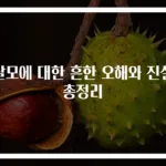탈모에 대한 흔한 오해와 진실 총정리