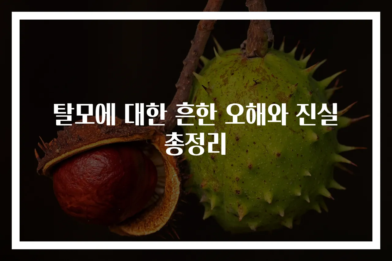탈모에 대한 흔한 오해와 진실 총정리