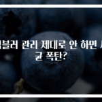 텀블러 관리 제대로 안 하면 세균 폭탄?
