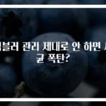 텀블러 관리 제대로 안 하면 세균 폭탄?