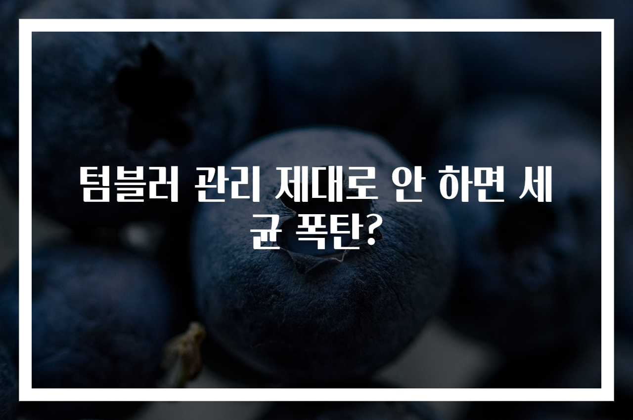 텀블러 관리 제대로 안 하면 세균 폭탄?