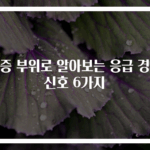 통증 부위로 알아보는 응급 경고 신호 6가지