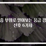 통증 부위로 알아보는 응급 경고 신호 6가지