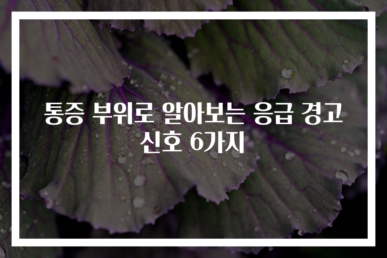 통증 부위로 알아보는 응급 경고 신호 6가지