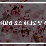 튀김요리 소스 하나로 맛 2배