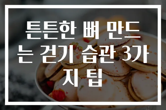 튼튼한 뼈 만드는 걷기 습관 3가지 팁