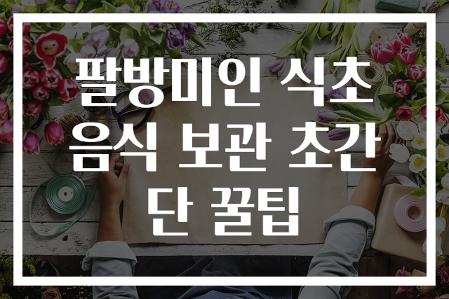팔방미인 식초 음식 보관 초간단 꿀팁