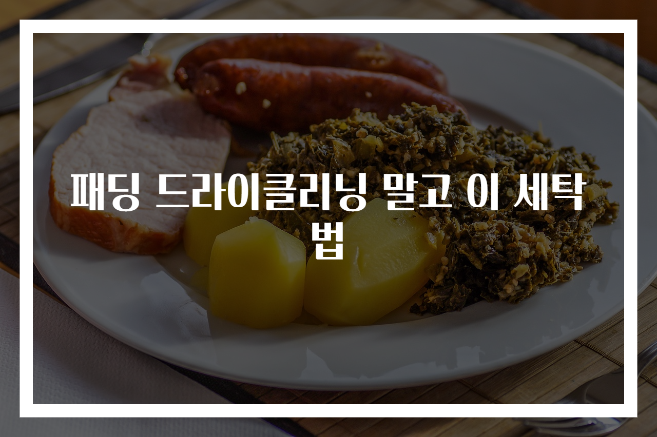 패딩 드라이클리닝 말고 이 세탁법