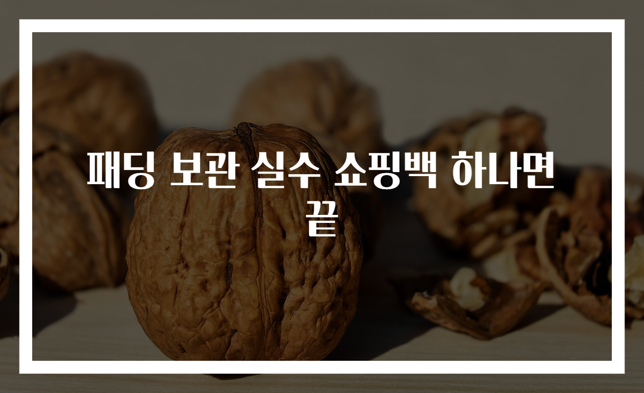 패딩 보관 실수 쇼핑백 하나면 끝
