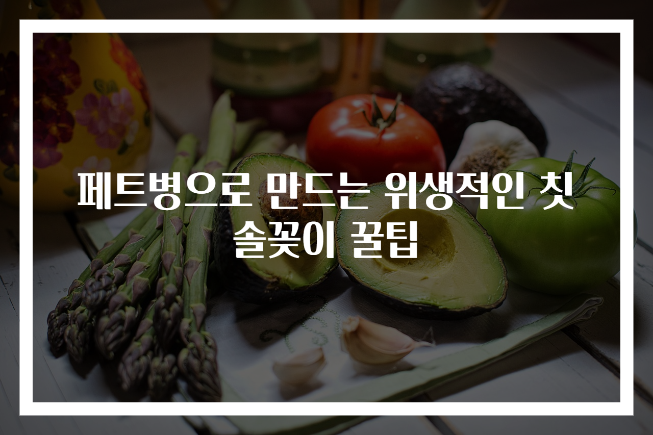 페트병으로 만드는 위생적인 칫솔꽂이 꿀팁