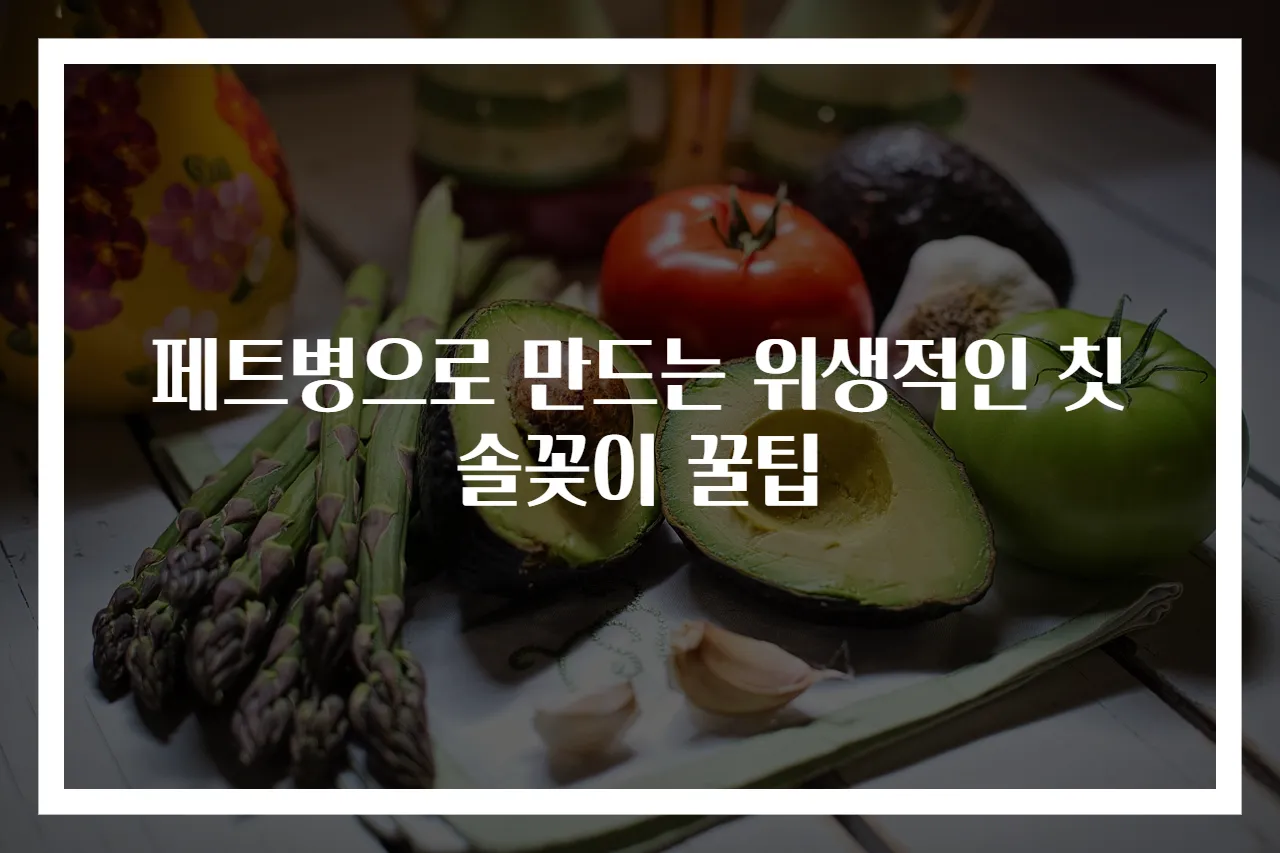 페트병으로 만드는 위생적인 칫솔꽂이 꿀팁