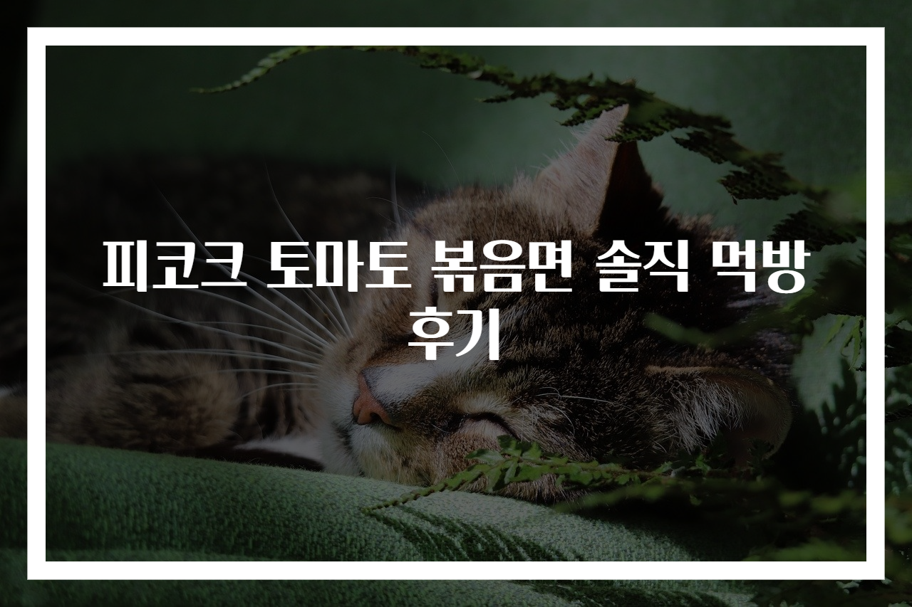 피코크 토마토 볶음면 솔직 먹방 후기