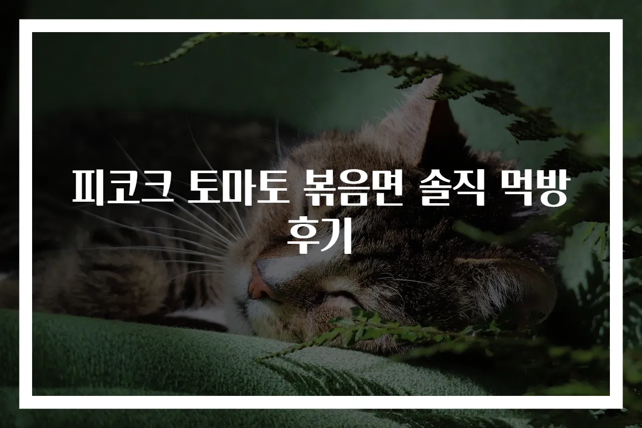 피코크 토마토 볶음면 솔직 먹방 후기
