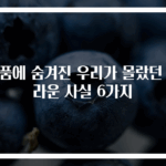 하품에 숨겨진 우리가 몰랐던 놀라운 사실 6가지