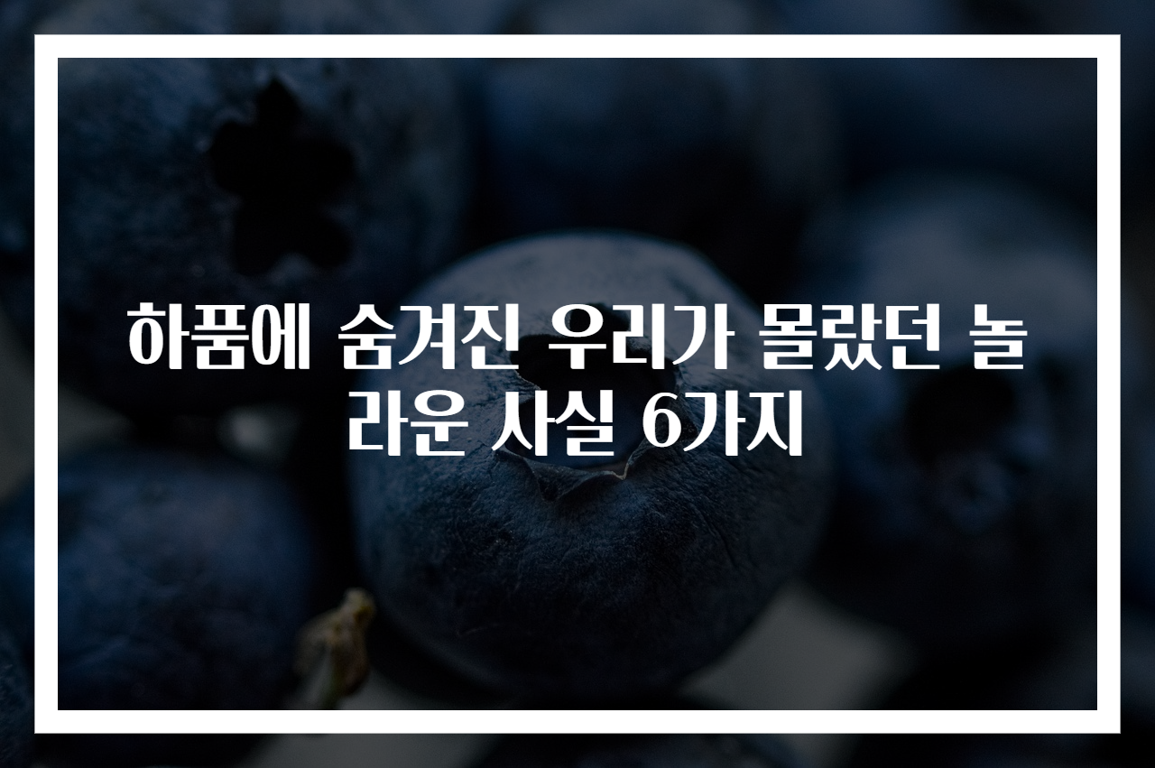 하품에 숨겨진 우리가 몰랐던 놀라운 사실 6가지