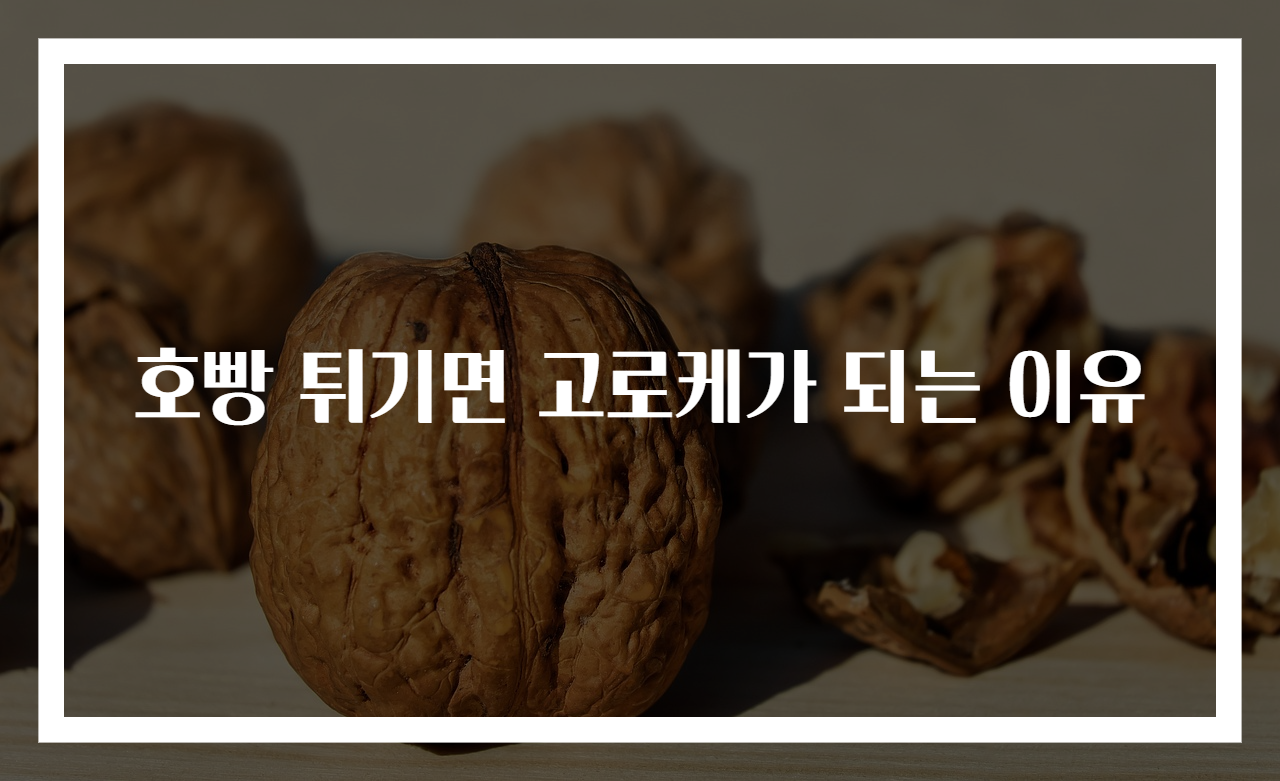 호빵 튀기면 고로케가 되는 이유