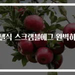 호텔식 스크램블에그 완벽하게