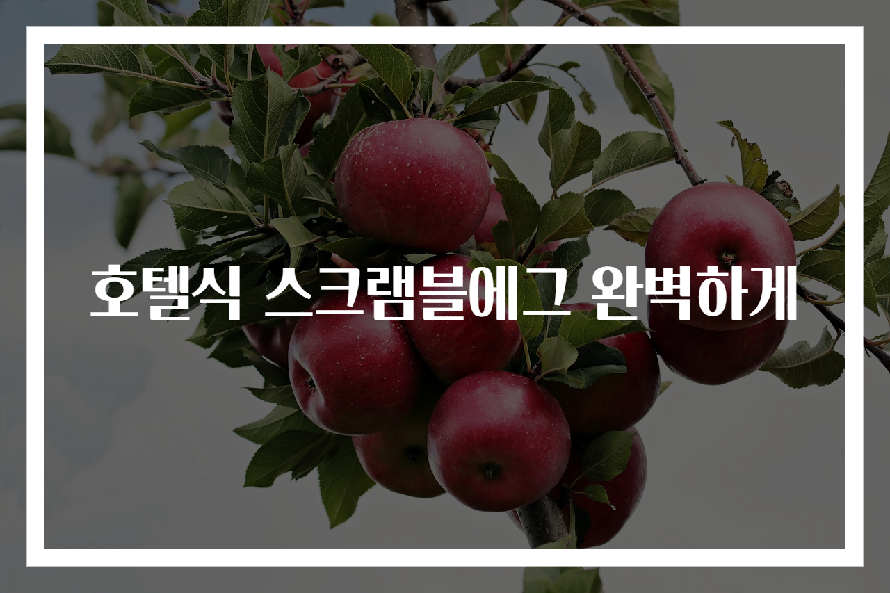 호텔식 스크램블에그 완벽하게