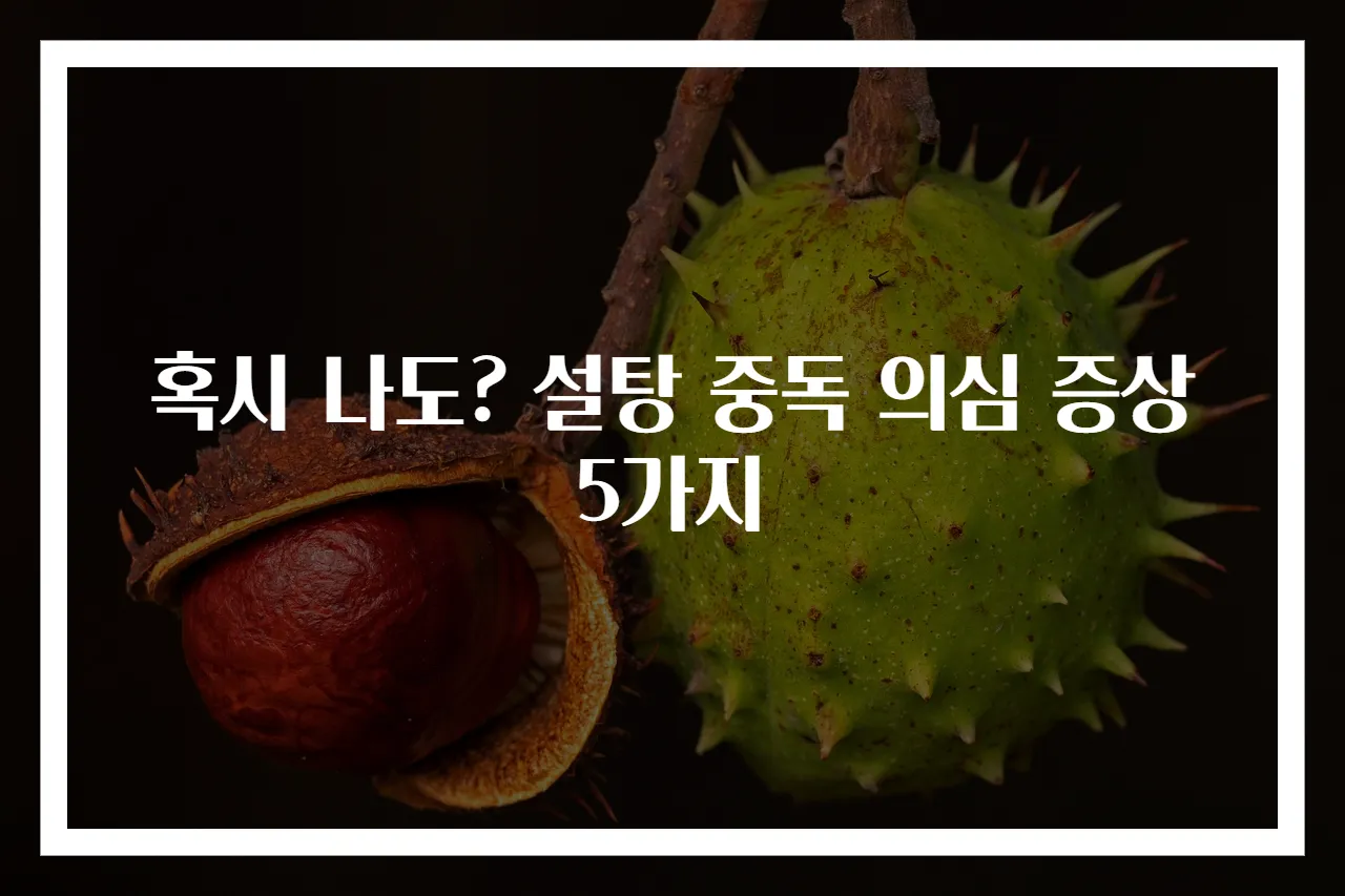 혹시 나도? 설탕 중독 의심 증상 5가지