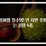 홍콩여행 필수템! 안 사면 후회하는 꿀템 6종