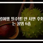 홍콩여행 필수템! 안 사면 후회하는 꿀템 6종