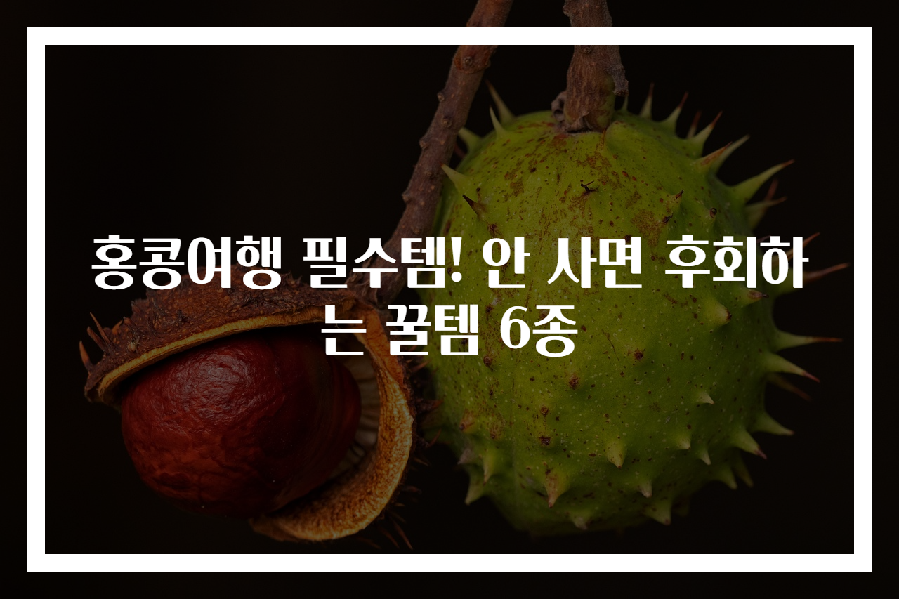 홍콩여행 필수템! 안 사면 후회하는 꿀템 6종