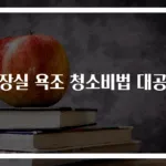 화장실 욕조 청소비법 대공개
