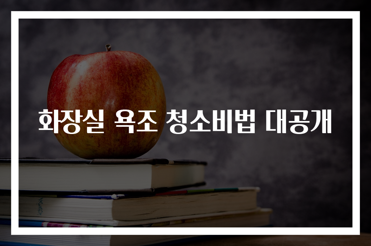 화장실 욕조 청소비법 대공개