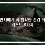 흡연자에게 꼭 필요한 건강 식품 리스트 8가지