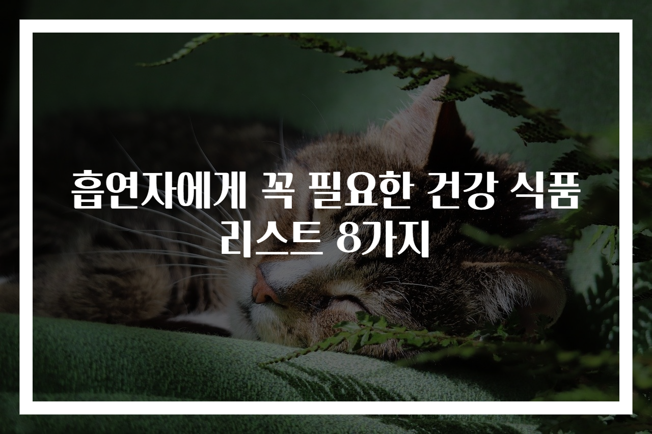 흡연자에게 꼭 필요한 건강 식품 리스트 8가지