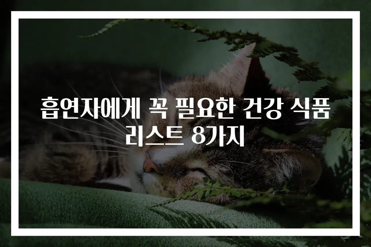 흡연자에게 꼭 필요한 건강 식품 리스트 8가지