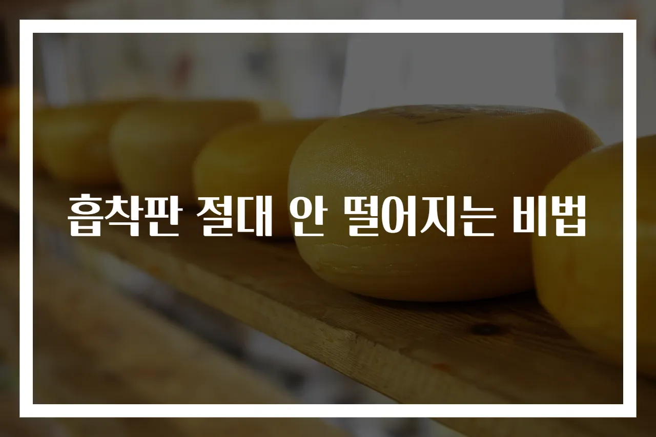 흡착판 절대 안 떨어지는 비법