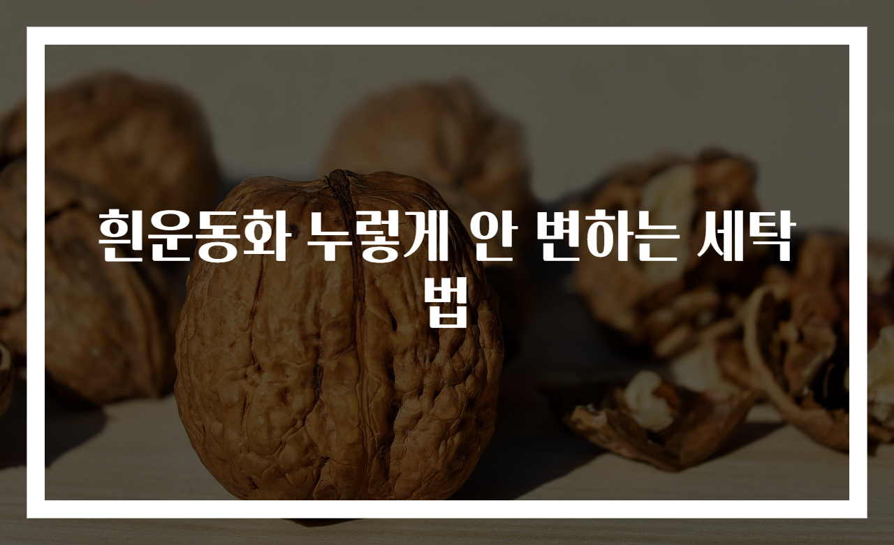 흰운동화 누렇게 안 변하는 세탁법