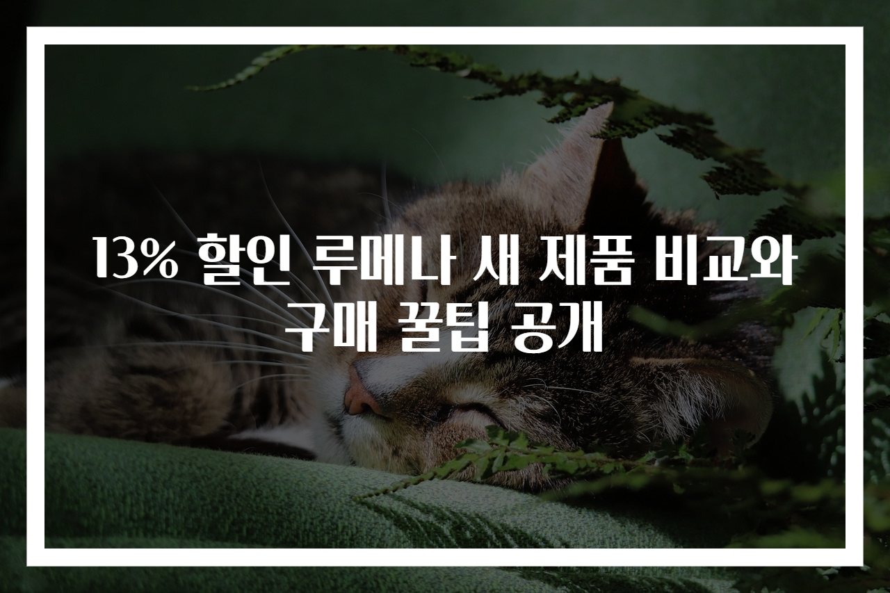 13% 할인 루메나 새 제품 비교와 구매 꿀팁 공개