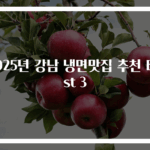 2025년 강남 냉면맛집 추천 Best 3