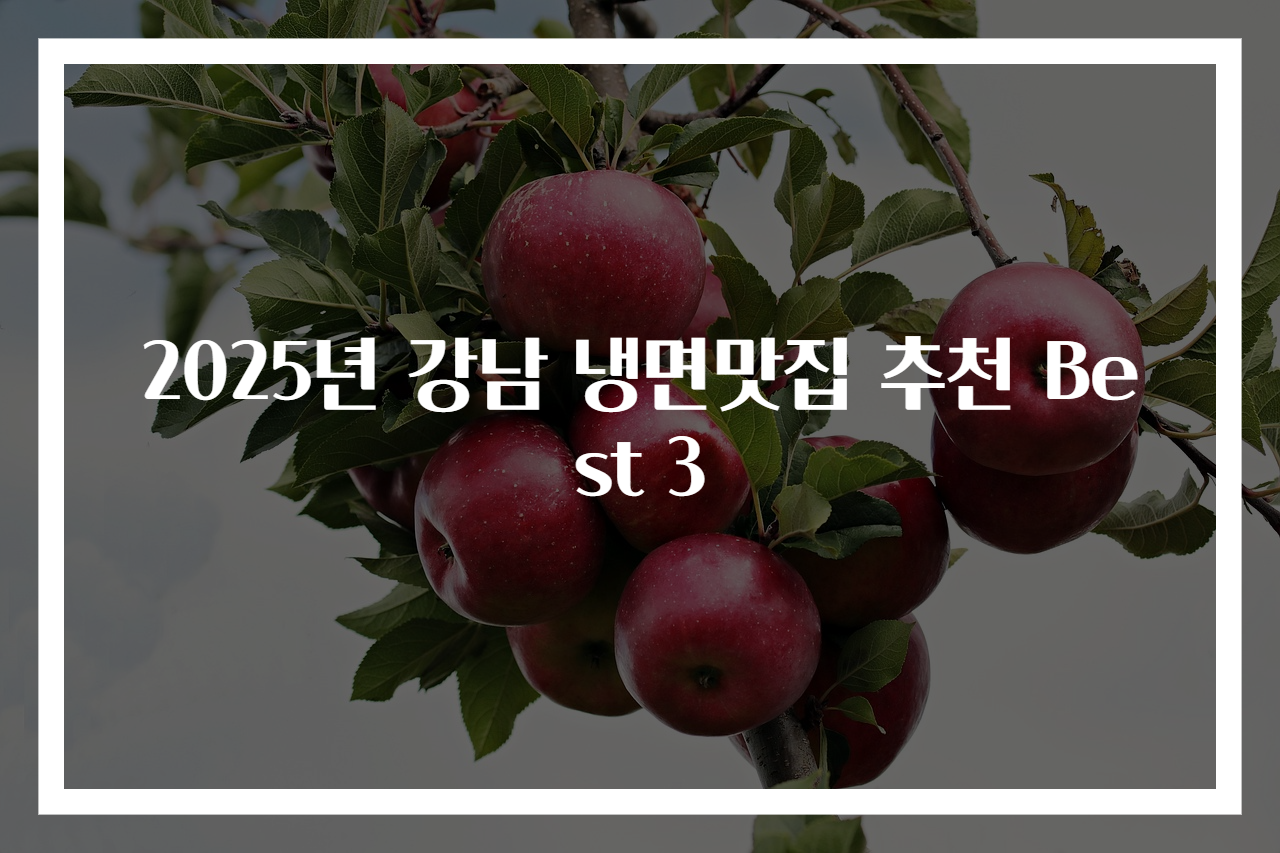 2025년 강남 냉면맛집 추천 Best 3