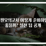 6월모의고사 어떻게 준비하면 좋을까? 실전 팁 공개