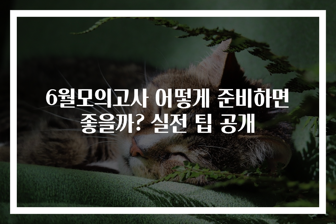 6월모의고사 어떻게 준비하면 좋을까? 실전 팁 공개