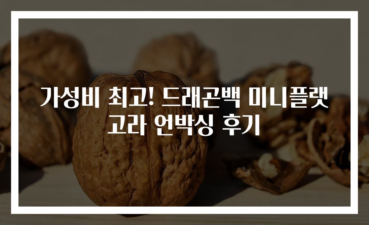 가성비 최고! 드래곤백 미니플랫고라 언박싱 후기