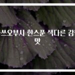 가쓰오부시 한스푼 색다른 감칠맛