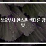 가쓰오부시 한스푼 색다른 감칠맛