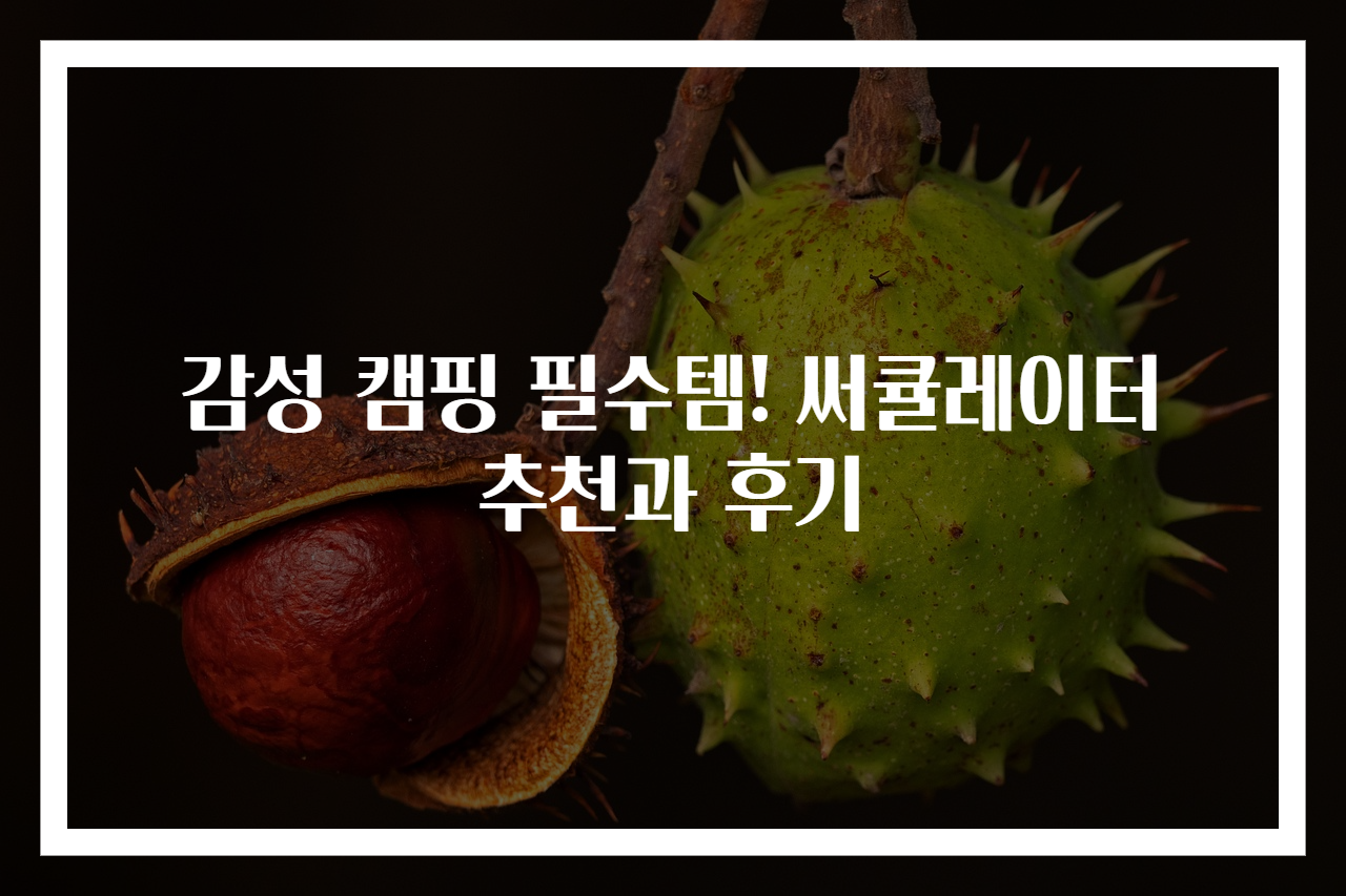 감성 캠핑 필수템! 써큘레이터 추천과 후기