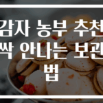 감자 농부 추천 싹 안나는 보관법