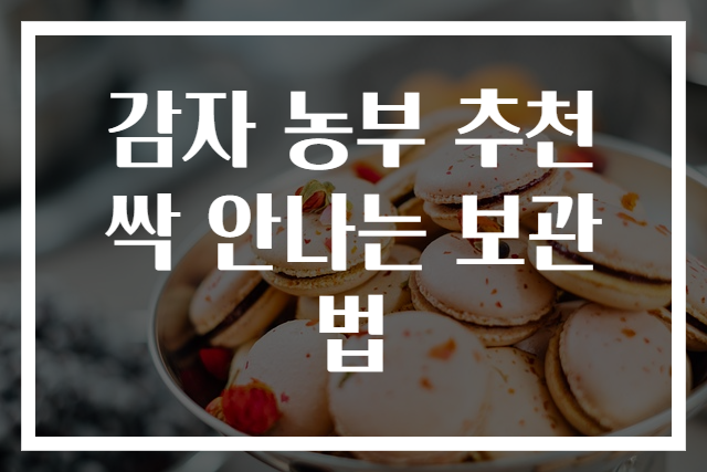 감자 농부 추천 싹 안나는 보관법