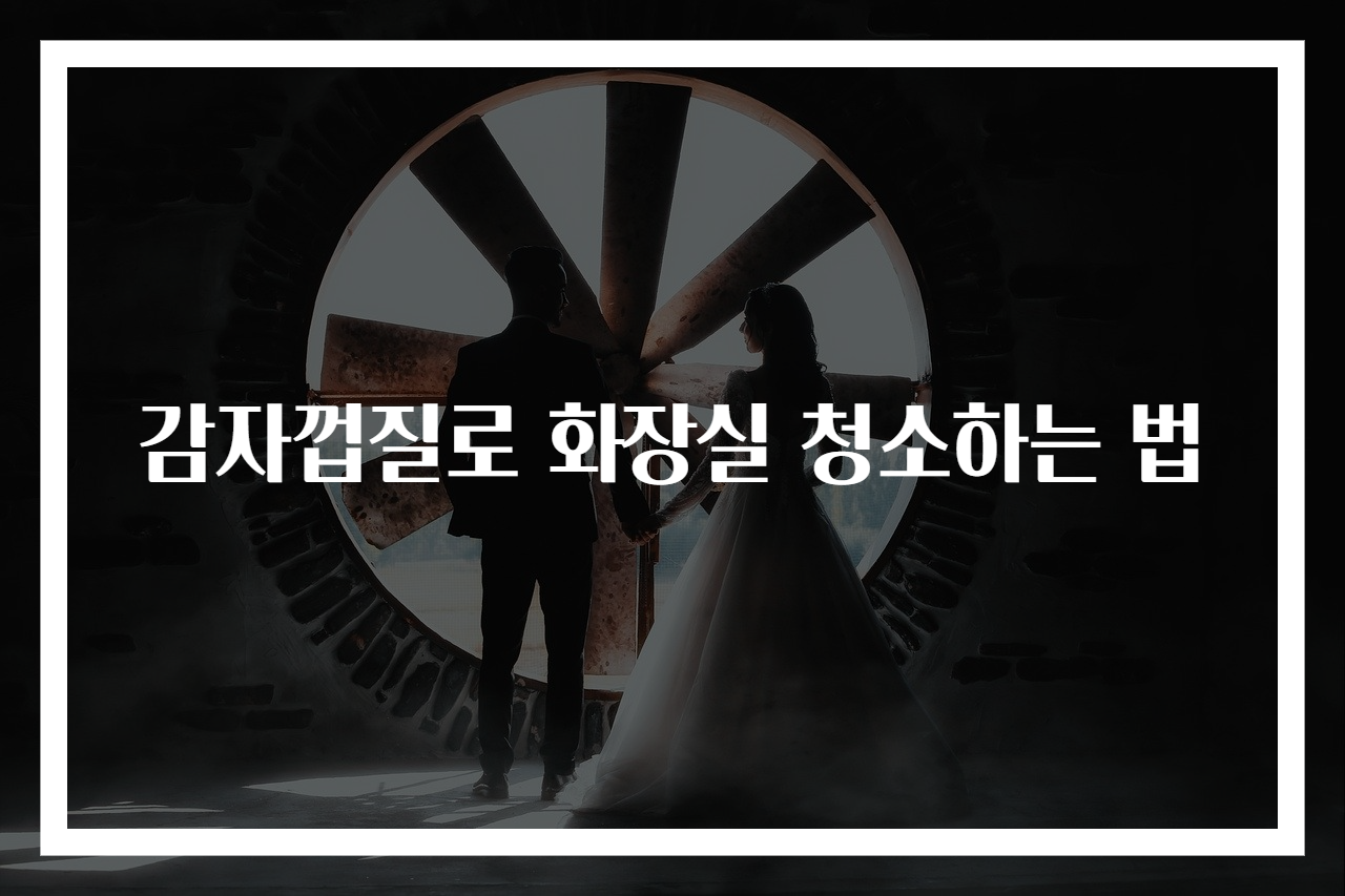 감자껍질로 화장실 청소하는 법