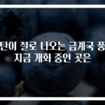 감탄이 절로 나오는 금계국 풍경 지금 개화 중인 곳은