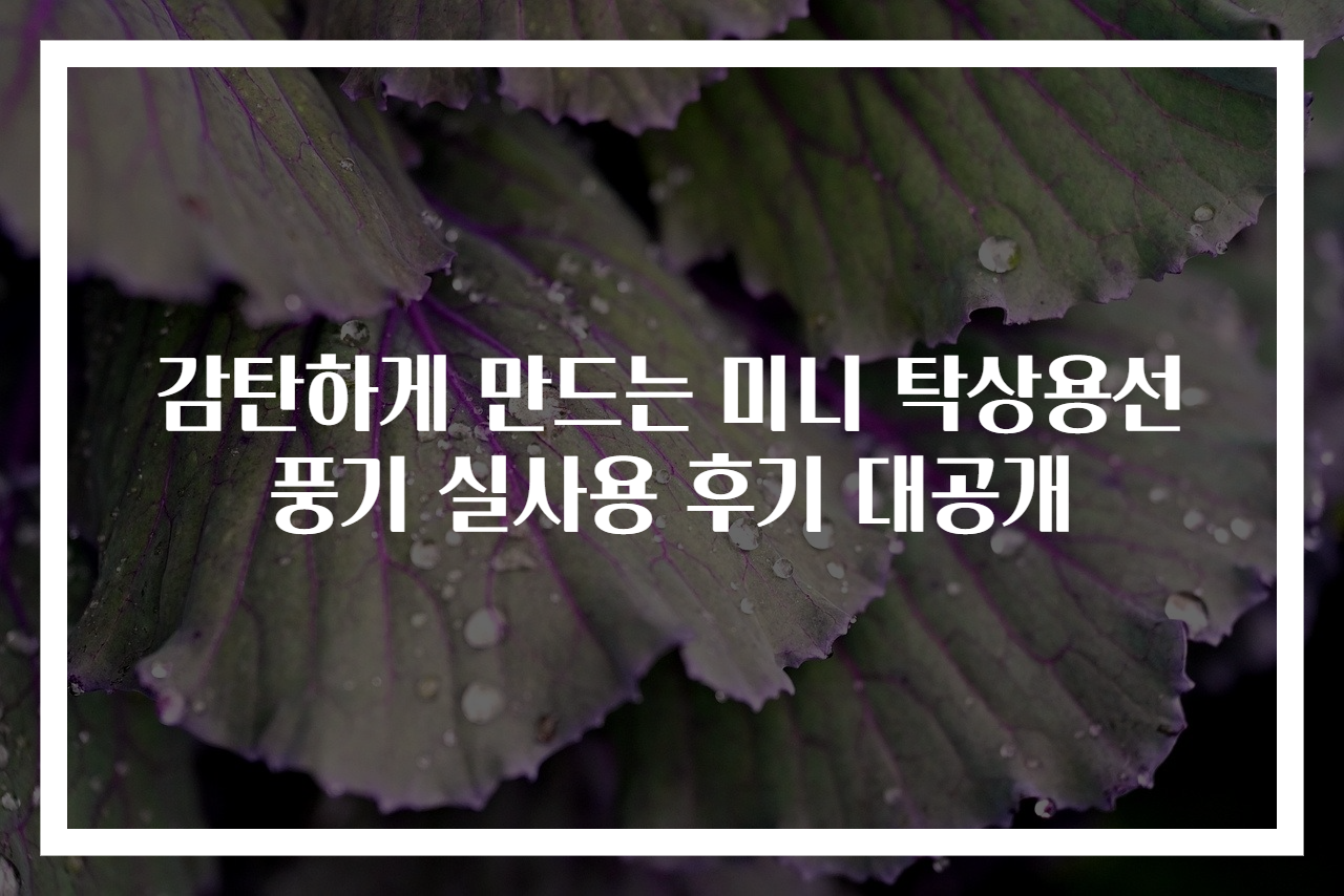 감탄하게 만드는 미니 탁상용선풍기 실사용 후기 대공개